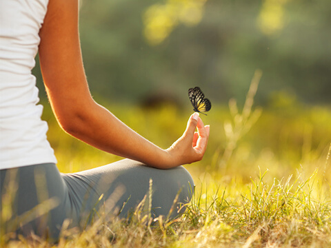 Intensiv Yoga<br />Trainer Ausbildung